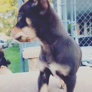 Meet your Posher, Marissa